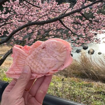 ゆきりさんのナゾ活写真 4