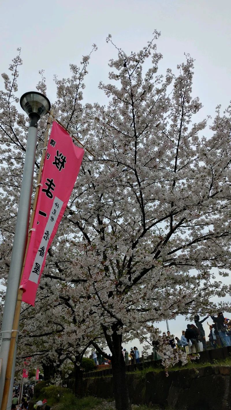 『浅草謎解き街歩き』のナゾ活写真