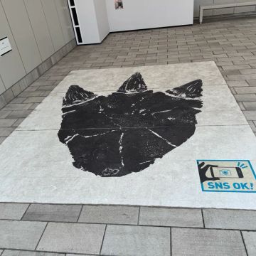 ぱたぽんさんのナゾ活写真 2