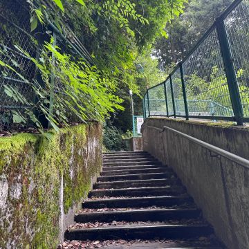 ぱたぽんさんのナゾ活写真 2