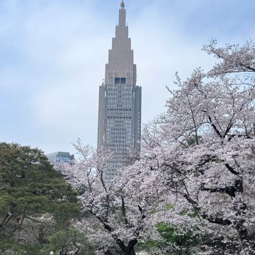ぱたぽんさんのナゾ活写真 1