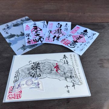 りぼさんのナゾ活写真 1