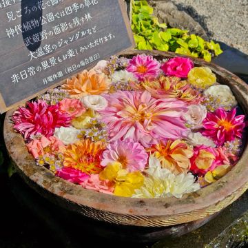 りぼさんのナゾ活写真 2