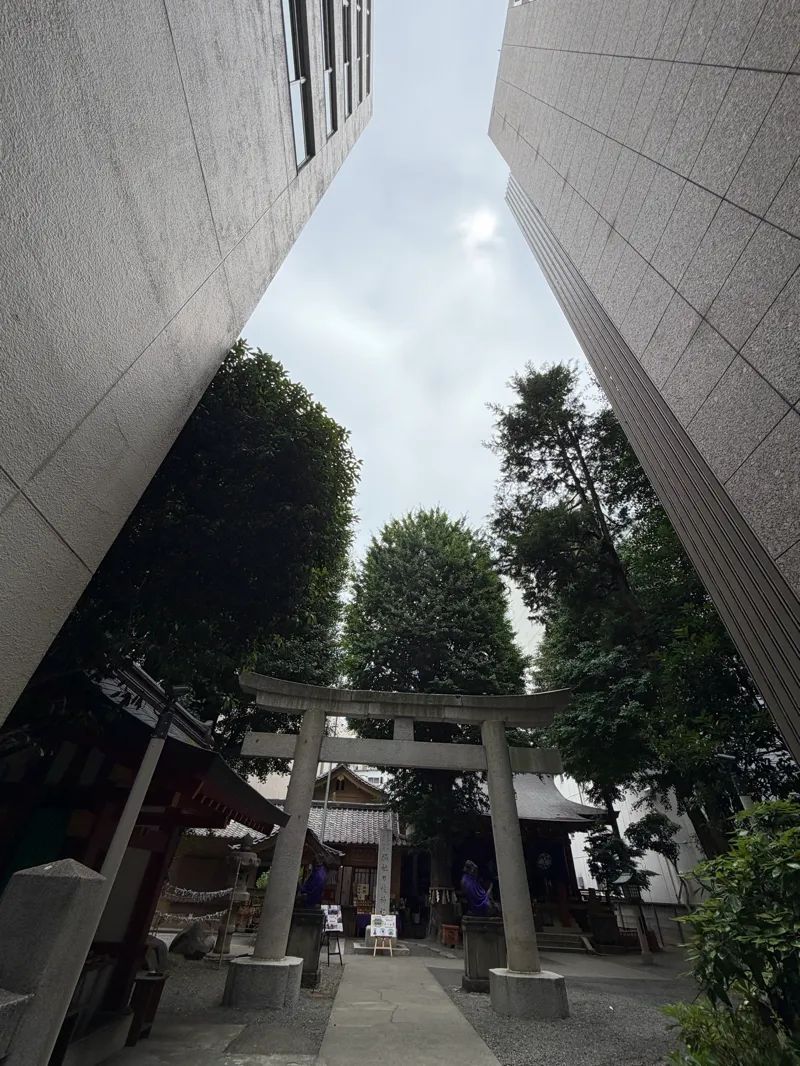 ないしょのものいれのナゾ活写真