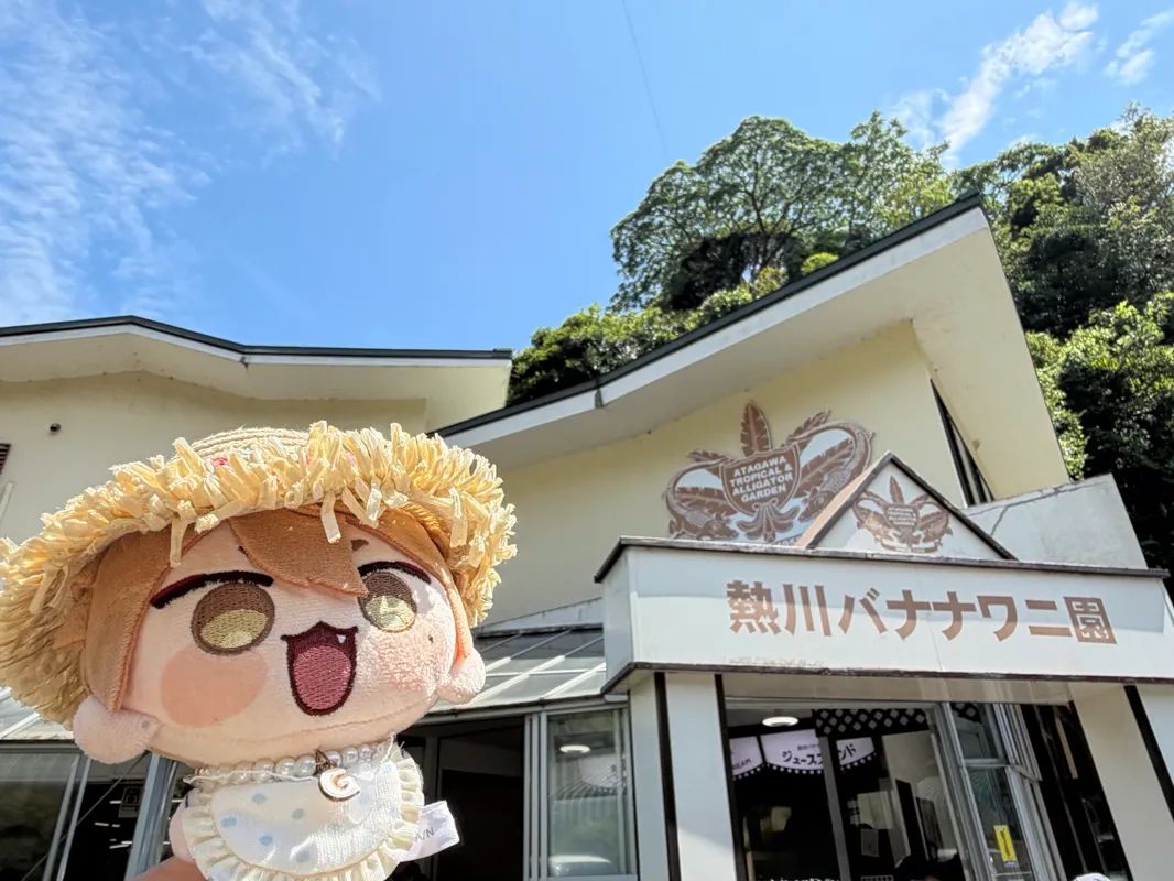 熱川ばにおとまぼろしのバナナを見つけ出せ！のナゾ活写真