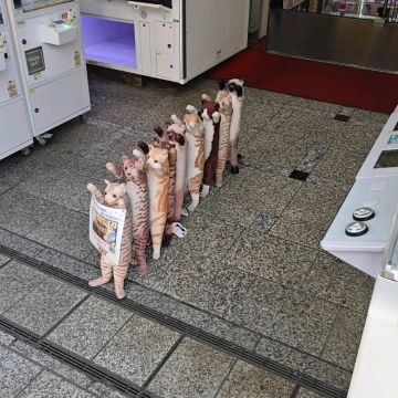 エトさんのナゾ活写真 1