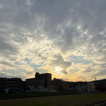ふまさんのナゾ活写真 2