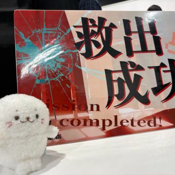 辺さんのナゾ活写真 1