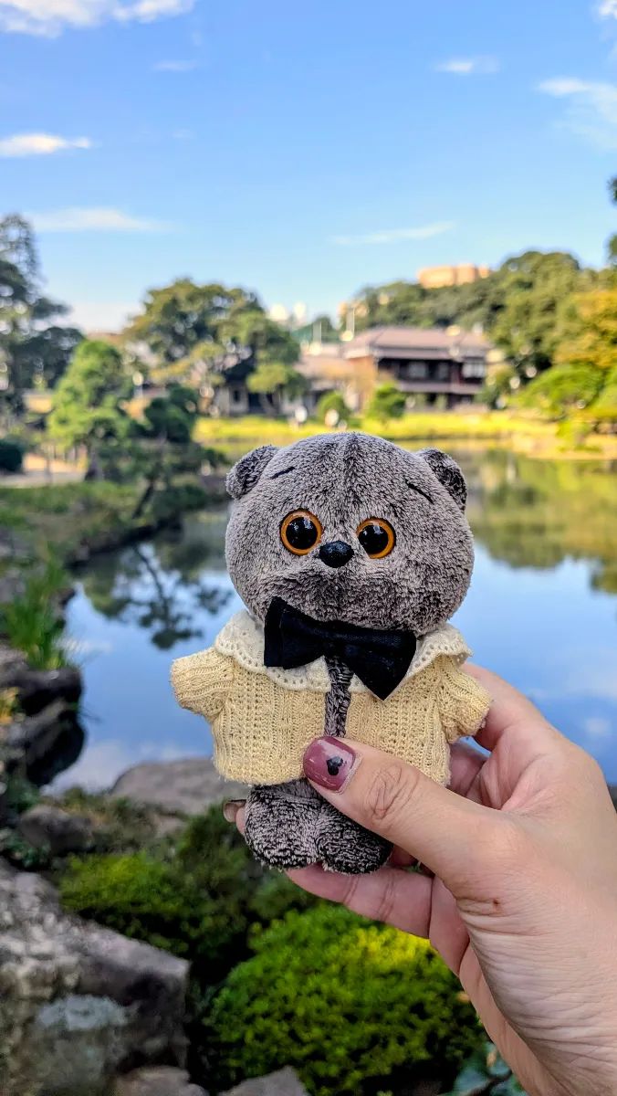 【東京都文京区】幸せのもみじを探せ！Discoveryのナゾ活写真