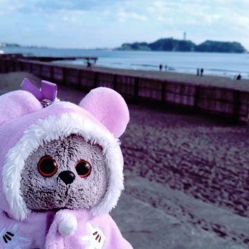 Midoさんのナゾ活写真 1