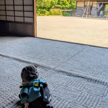 Midoさんのナゾ活写真 2