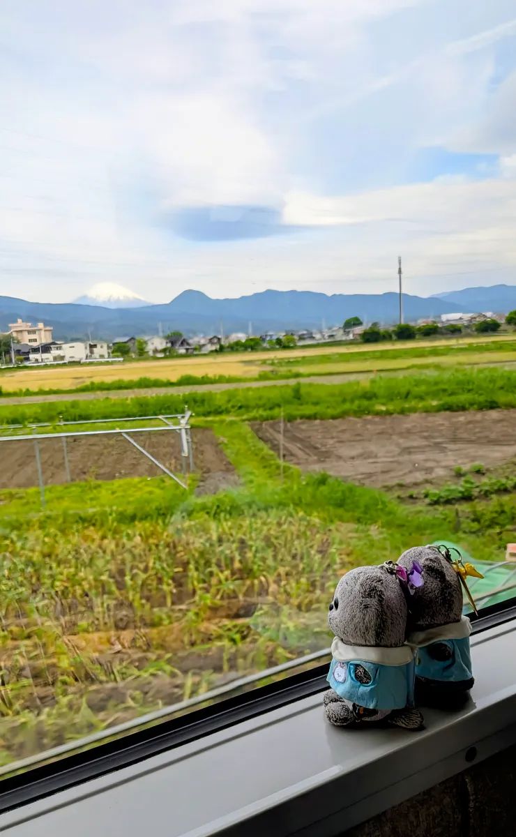 小田急謎街トレイン2026のナゾ活写真