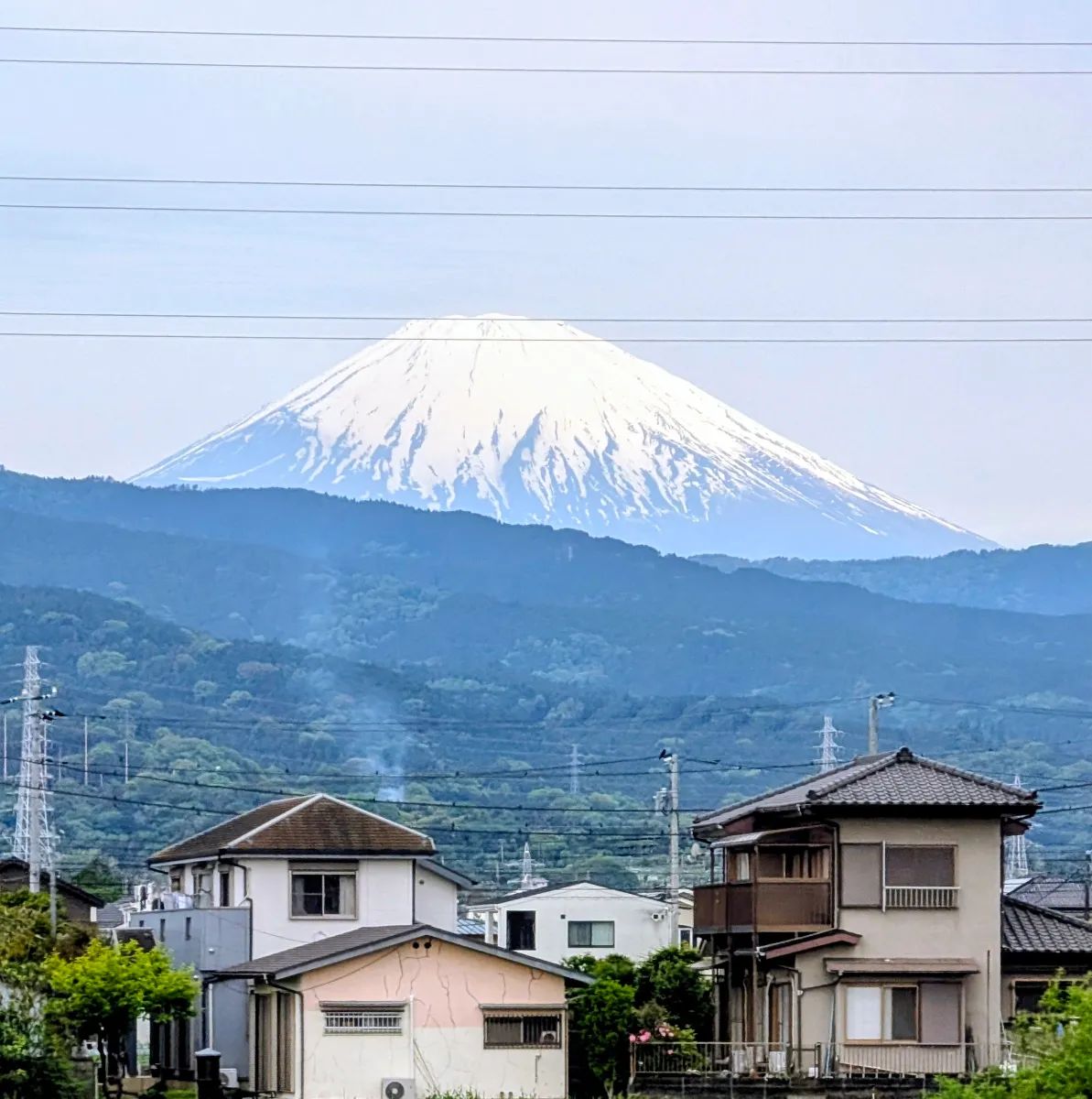 小田急謎街トレイン2026のナゾ活写真