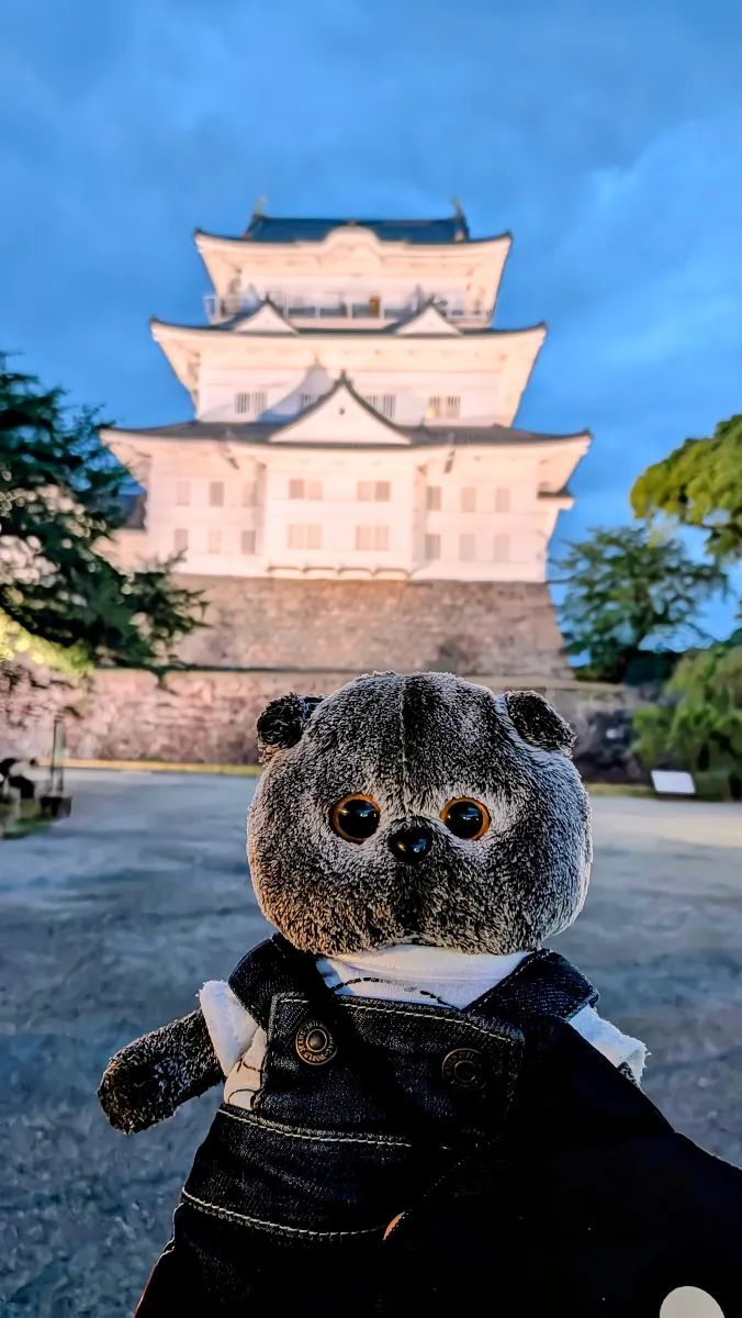 小田急謎街トレイン2026のナゾ活写真