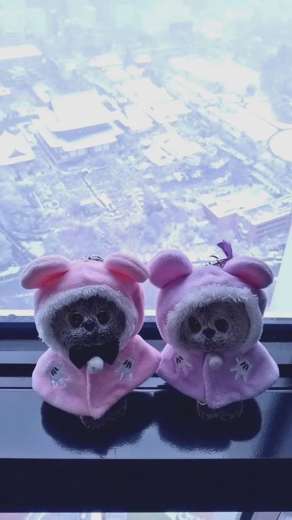 輝くオアシスを護る 宝玉探しの旅のナゾ活写真
