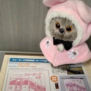 Midoさんのナゾ活写真 4