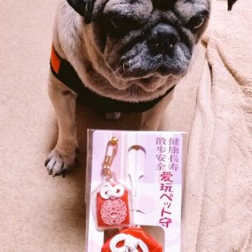 Midoさんのナゾ活写真 1