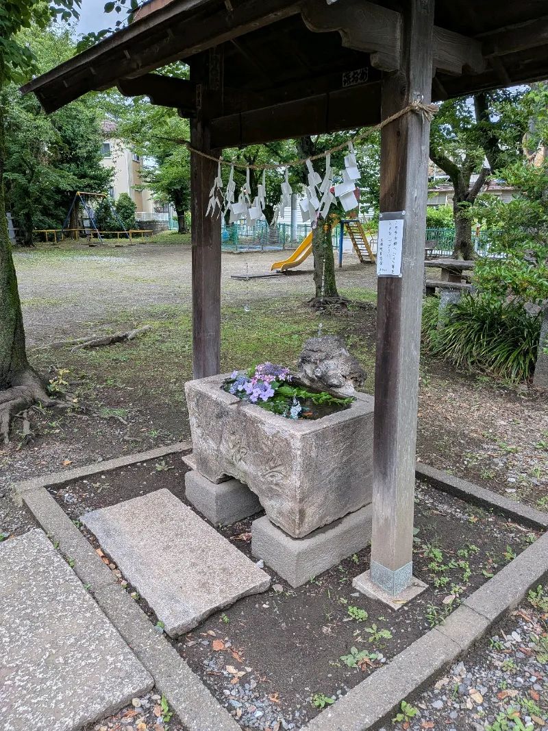 川越ナゾトキ奇譚　城下に漂う記憶と不思議な儀式のナゾ活写真