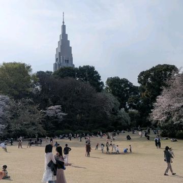 YOKO&カズさんのナゾ活写真 1