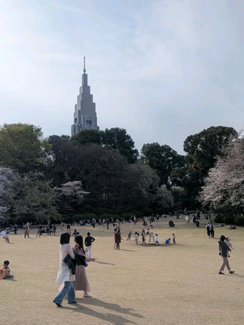 新宿御苑植物巡り（朝焼け編、夕焼け編、宵編）のナゾ活写真