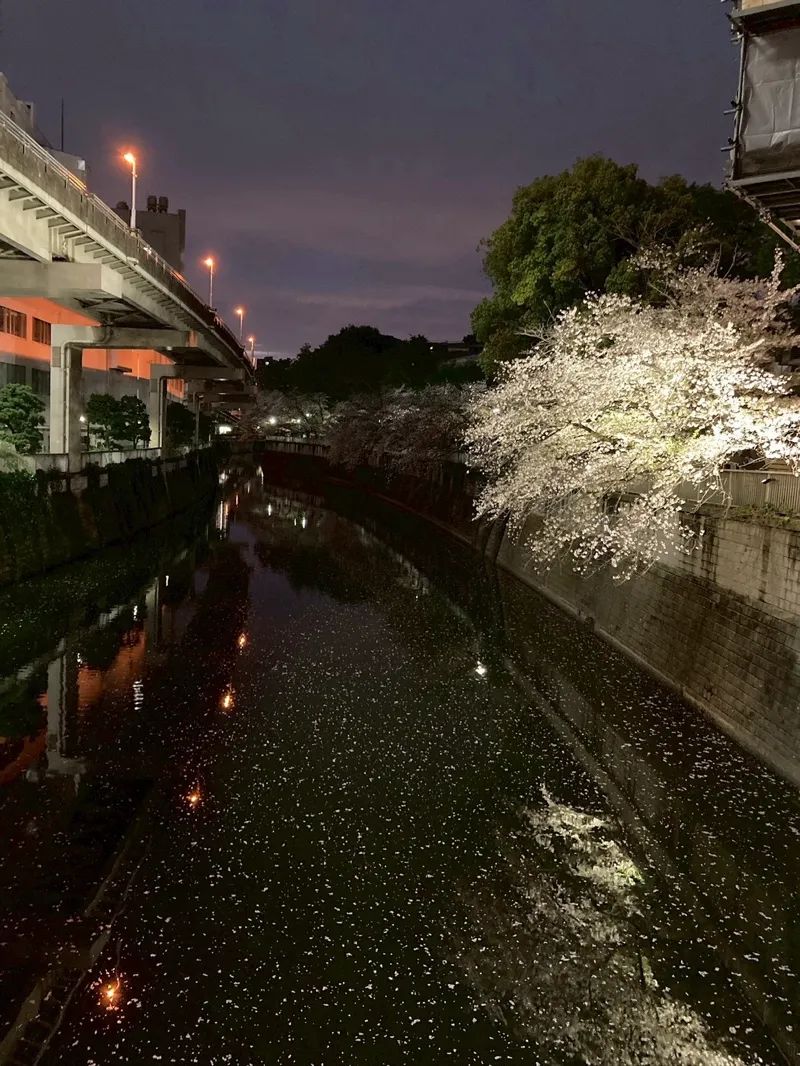 メトロタイムゲート ルビーエクスプレス（本編・真相編）のナゾ活写真