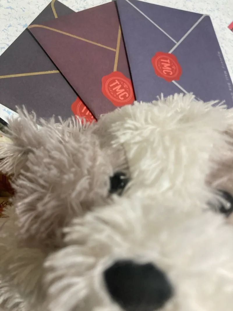 MYSTERY MAIL BOX『Mystery Manからの招待状』のナゾ活写真