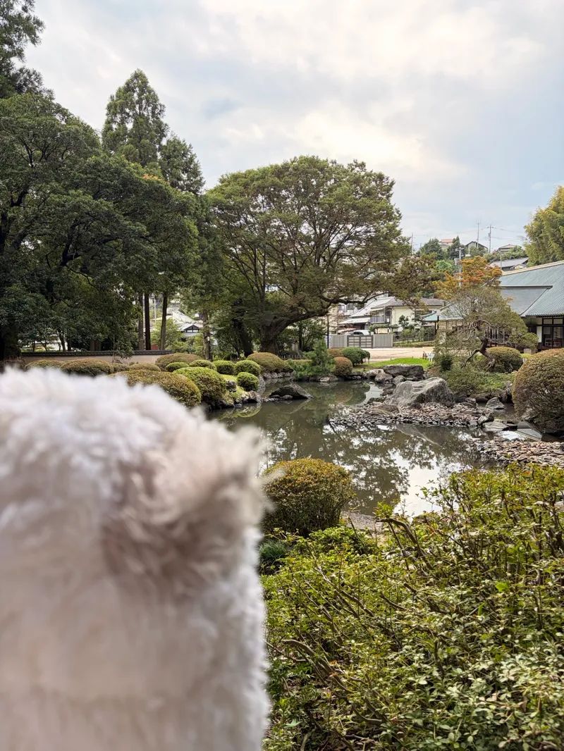 京王VS小田急 沿線愛バトルのナゾ活写真