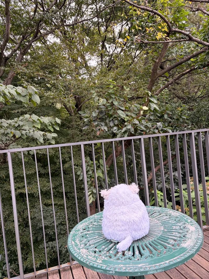 京王VS小田急 沿線愛バトルのナゾ活写真