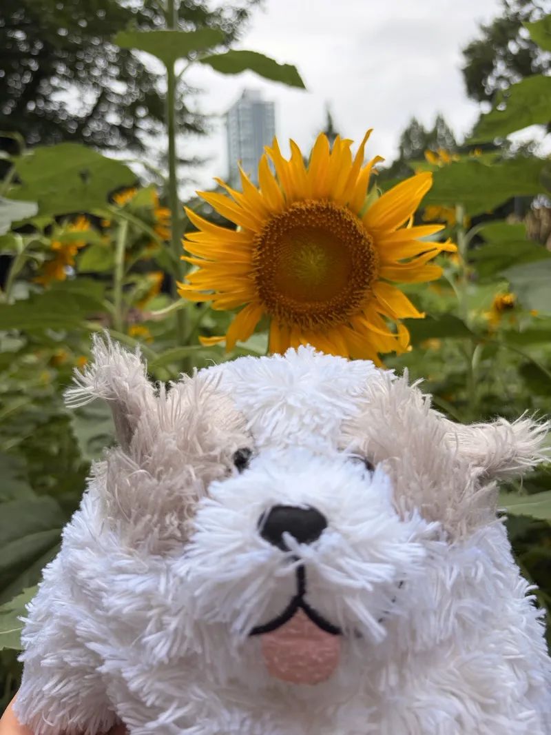 『東京謎解きトラベル』のナゾ活写真