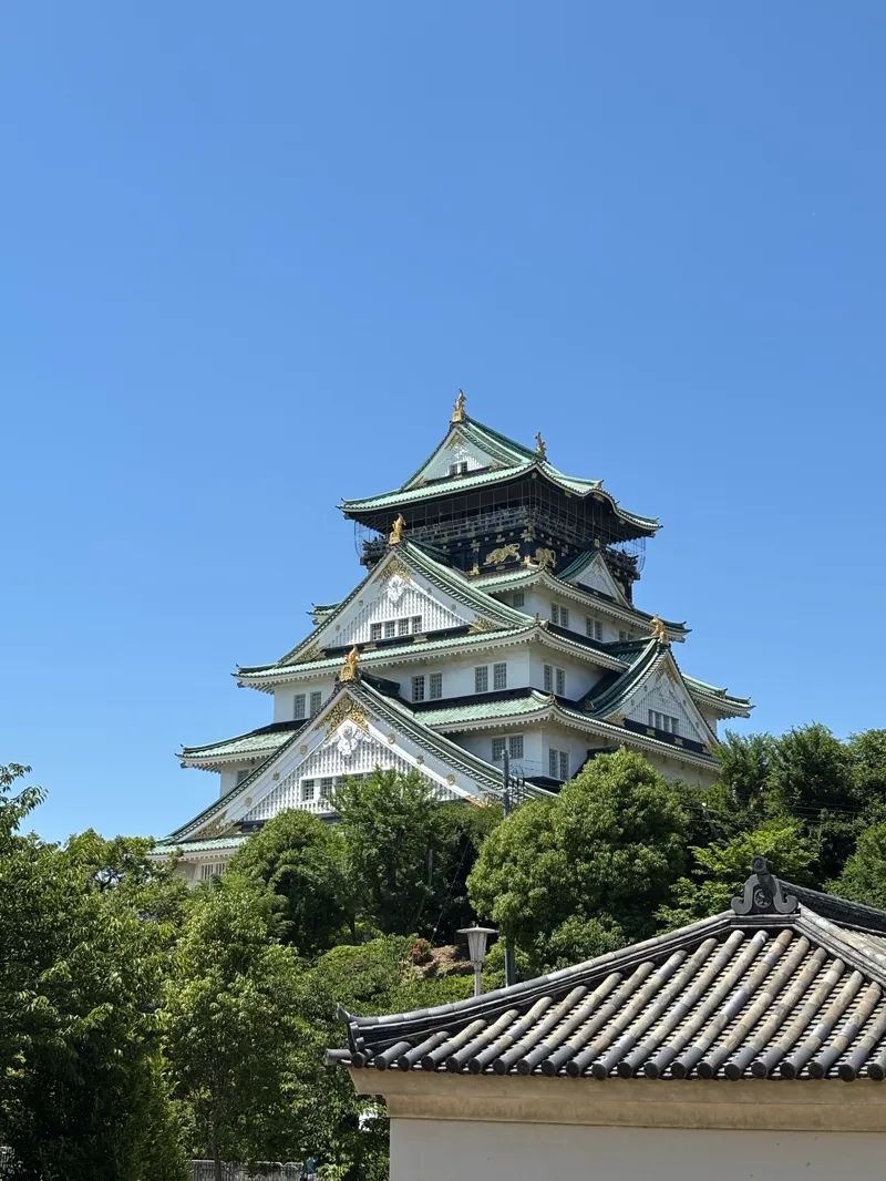 歴史リアル謎解きゲーム「謎の城」in大阪城「豊臣秀吉 野望が隠された天下人の城」のナゾ活写真