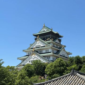 謎解きたぬき🔰さんのナゾ活写真 2