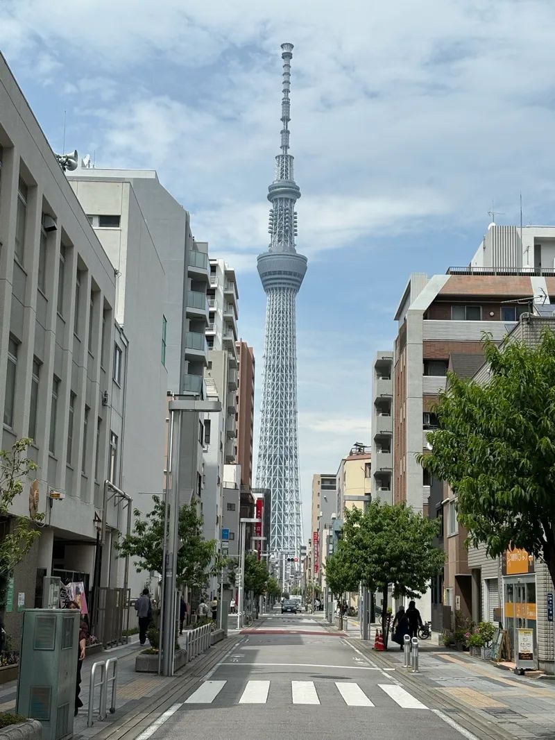 ふぇすさんのナゾ活写真 2