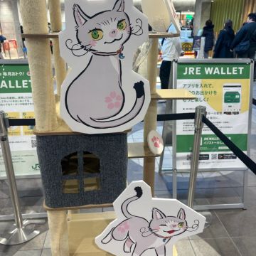 m.mcatさんのナゾ活写真 2