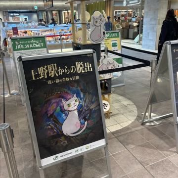 m.mcatさんのナゾ活写真 1