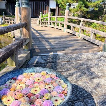 ブンタさんのナゾ活写真 2
