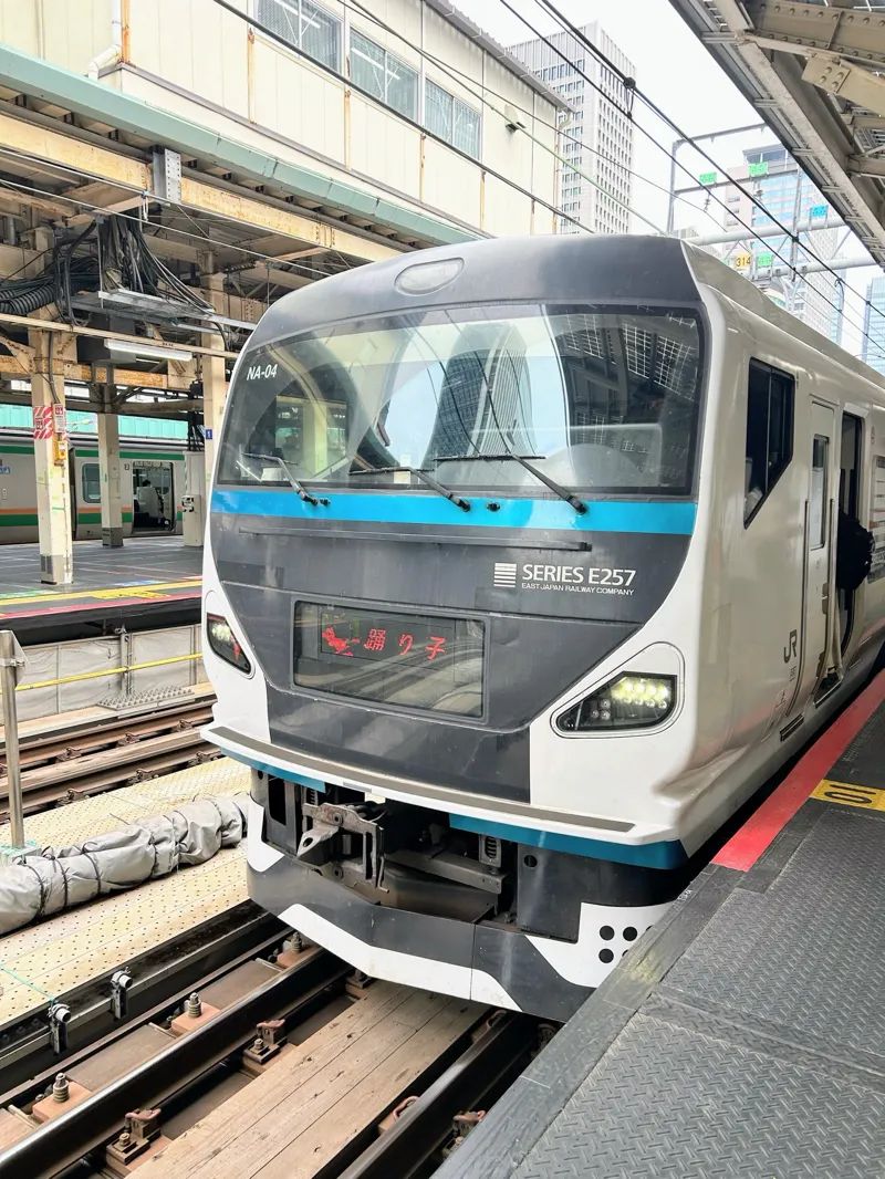 セツナトレイン2 狙われた伊東とお菓子ぃ共和国のナゾ活写真