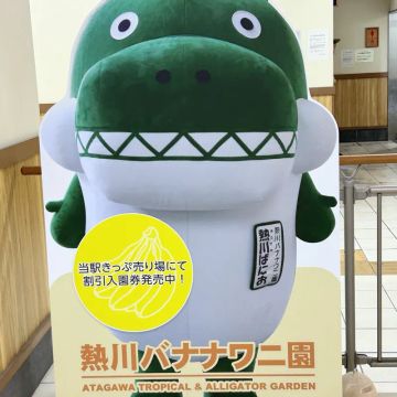 ブンタさんのナゾ活写真 1