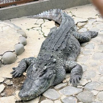 ブンタさんのナゾ活写真 2