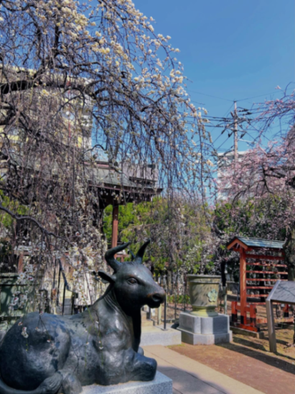 謎めくカワグチ探偵局のナゾ活写真
