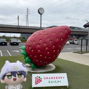 わにやまさんのナゾ活写真 1