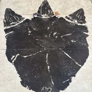 わにやまさんのナゾ活写真 2