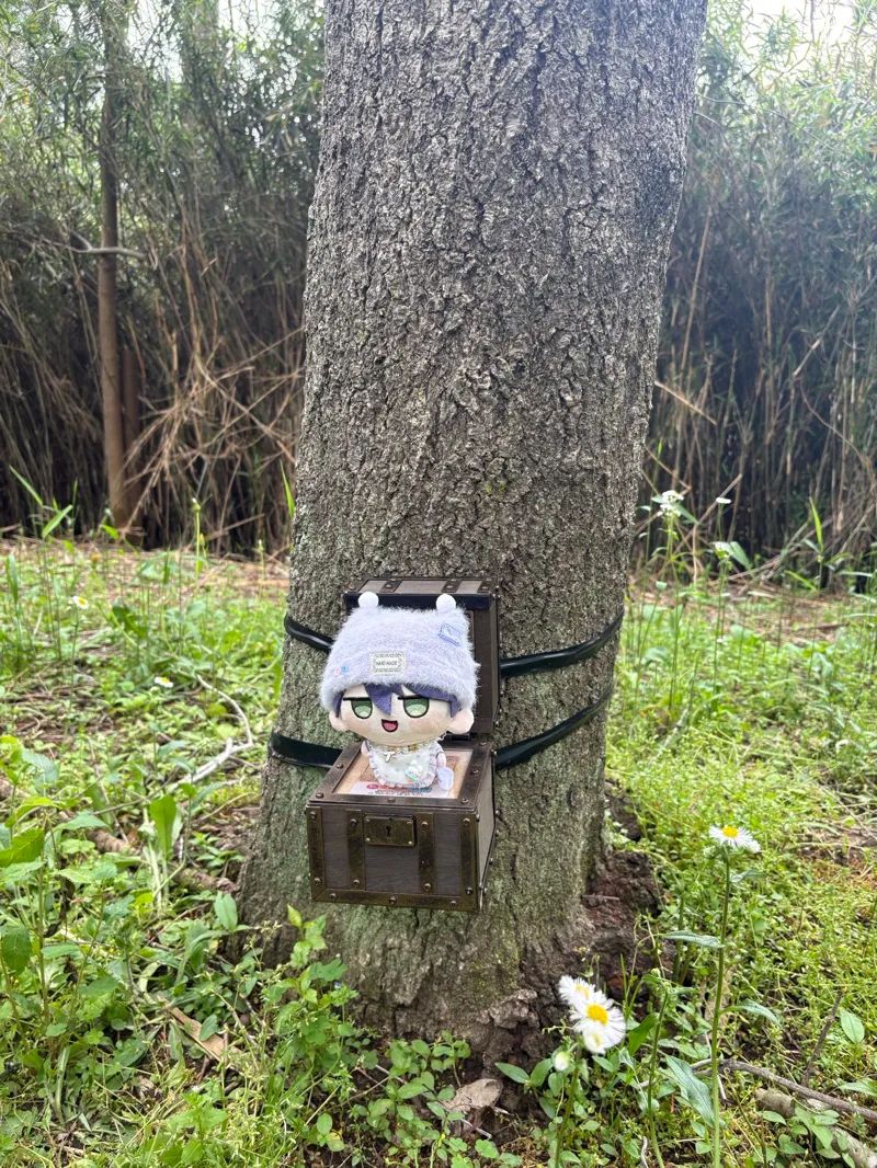 みつけろ！常陸の国の宝物のナゾ活写真