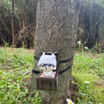 わにやまさんのナゾ活写真 2
