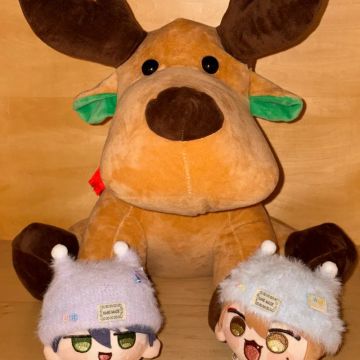 わにやまさんのナゾ活写真 2