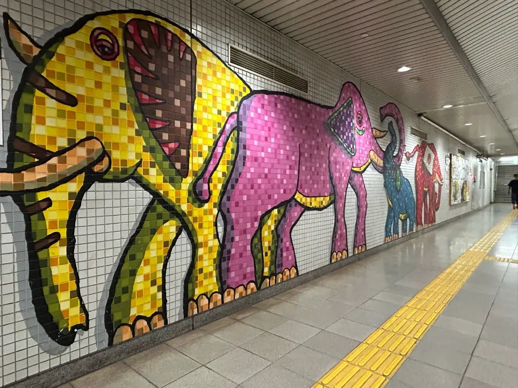 『京都謎解き列車旅』のナゾ活写真