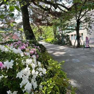 Kousさんのナゾ活写真 1
