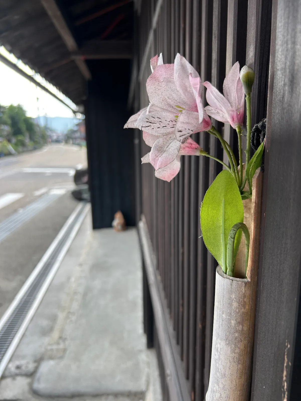 Kousさんのナゾ活写真 2