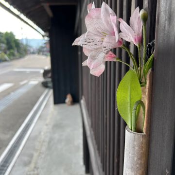 Kousさんのナゾ活写真 2