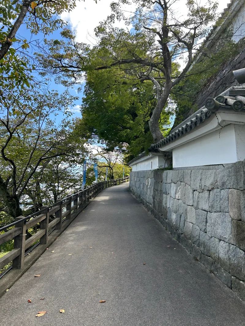 Kousさんのナゾ活写真 3