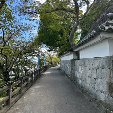 Kousさんのナゾ活写真 3